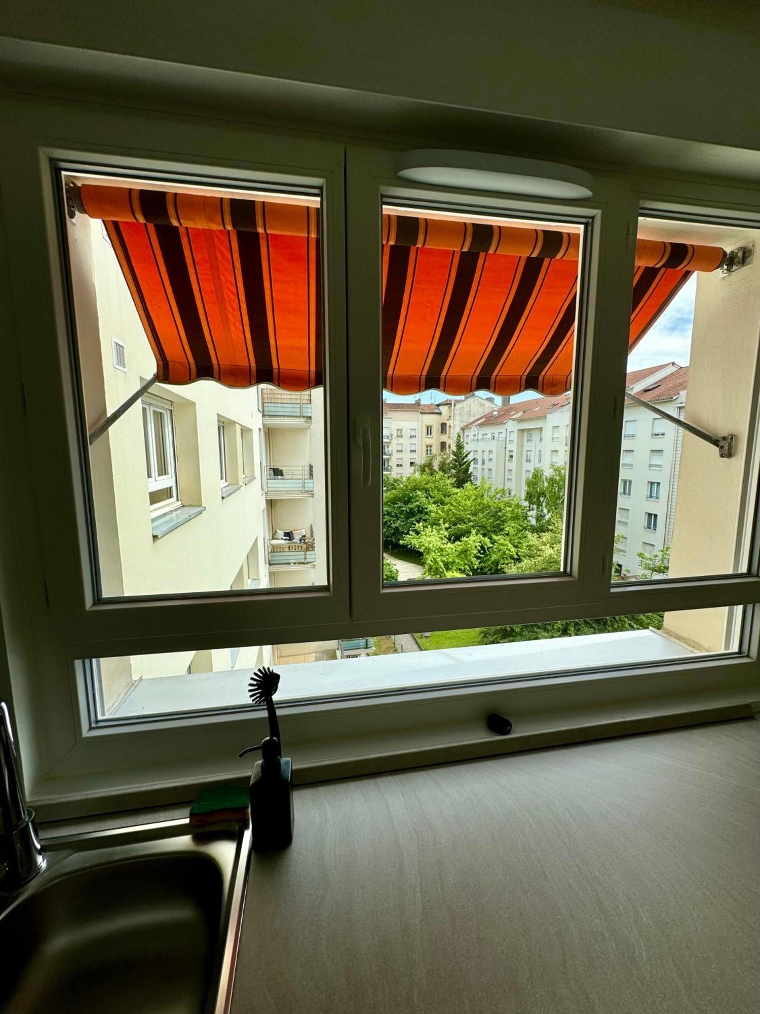 Le Lac - Appartement 15' Partdieu Et Bellecour ليون المظهر الخارجي الصورة